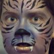 Metallic tiger