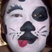 dalmation